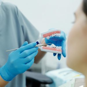 dentist pointing to a specific tooth on a teeth model while a patient listens